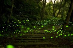 温柔又丧的说说(汇总66句)