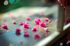 感情久了就淡了句子说说(汇总77句)