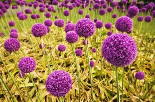 女人爱自己的霸气句子(通用83句)