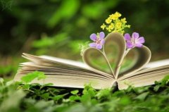 相亲交友宣言精美语句(共68句)