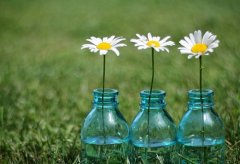 朋友圈发伤感的句子说说(实用67句)