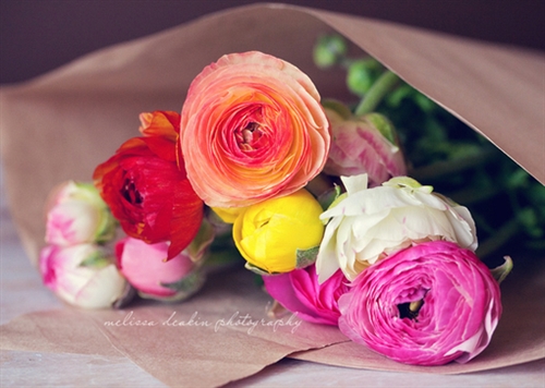 痛到心滴血的句子短句(精选67句)(痛到心滴血的句子最短的一句话)