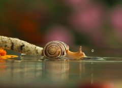 适合男生深夜发朋友圈的短句(67句)