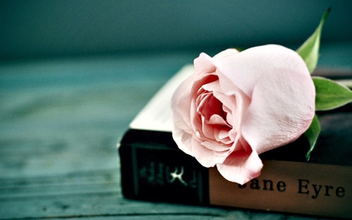 如懿传里的经典句子大全(必备42句)