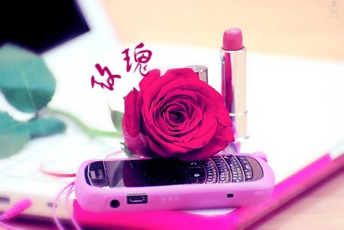 适合给别人空间留言的短句(通用65句) 适合给别人空间留言的短句(通用65句)