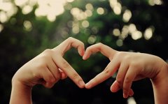 一句赞美柳树的话(优选55句)