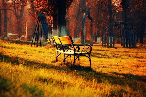 男生微信说说句子大全(优选66句)