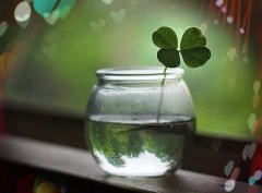 经典夜晚说说唯美句子短句(精选65句)