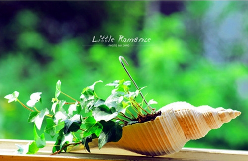 最伤心难过网名(精选227个)(最伤心难过网名女生)