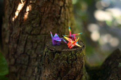 精选四个字的情侣网名(共356个) 精选四个字的情侣网名(共356个)