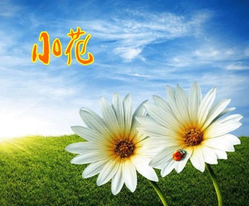 2023简单又好听的女生微信昵称(优选297个)(2023简单好听的吃鸡网名)