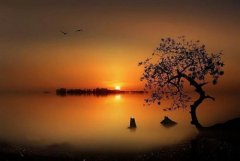 表白女生的古文情话短句(共33句)