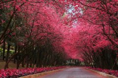 高兴适合发朋友圈的短句子说说(精选65句)