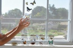 女生爱男生的句子短句(实用66句)