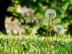 关于爱情的网名昵称(共353个)