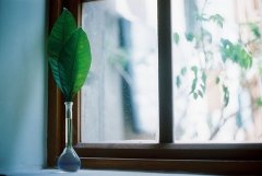 表白又伤感的句子短句(优选66句)