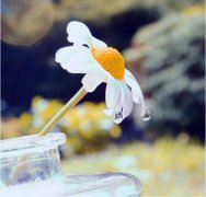 光棍经典搞笑句子大全(通用50句)