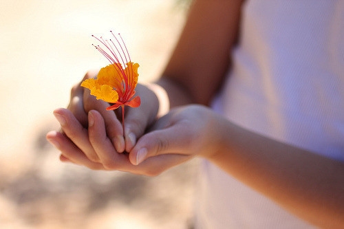 经典个性心情短语句子(热门73句)