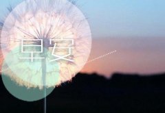 成长的句子经典语录(必备89句)