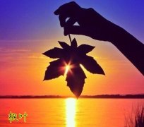 佛教关于生死的禅语(优选65句)