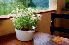 关于夏天的短语句子(通用62句)