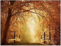 张爱玲惊艳了世界的经典语录(实用30句)