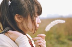 早晨鼓励人的经典语句(优选71句)