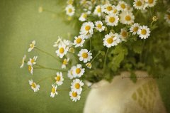 关于南北的浪漫句子(优选85句)