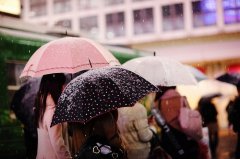 女人要努力赚钱的短句(实用108句)