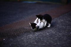 古人表达心烦的句子(精选70句)