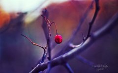 适合发朋友圈加油的句子(汇总109句)