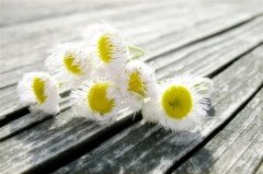 古人描写微笑的诗句(必备50句)