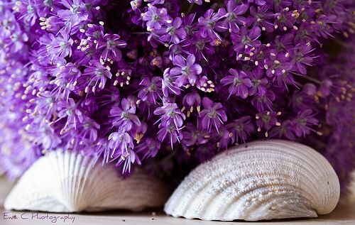 激励抓住机遇的句子(通用73句)