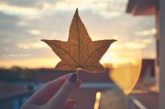 关于母爱的古风语录(精选66句)
