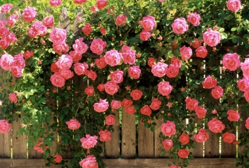 好烦想发朋友圈说说句子(155句)