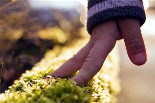 男人哄老婆的五句话(共82句)