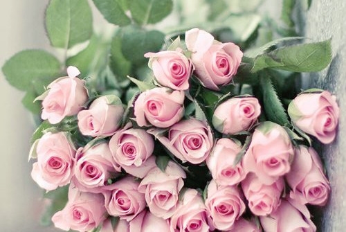 从小到大积累的谚语(必备112句)