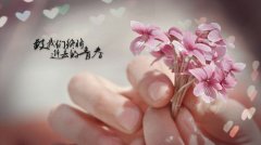 形容饭菜简陋的句子(通用75句)