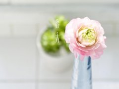 文章离婚后说的那句话(共65句)