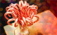 伤心欲绝的网名昵称(186个)