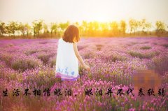 孩子新玩具发朋友圈说说(精选76句)