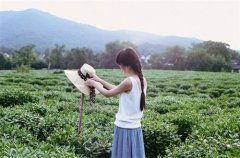 运动会开幕式的优美句段(热门143句)