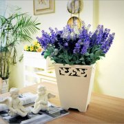 男朋友喜欢别人的句子(99句)