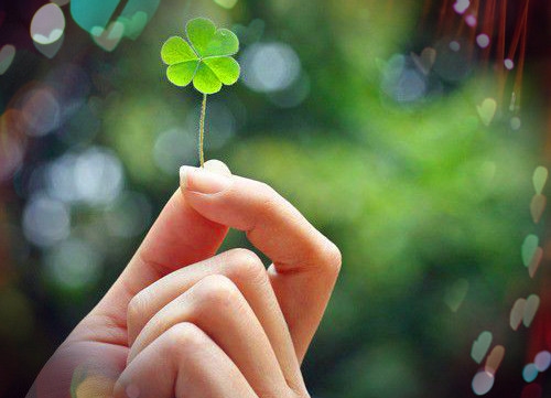 表达懦弱无能的句子(优选88句)