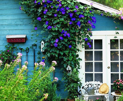 发抖音心情的精美句子(实用62句)