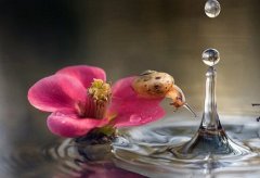 微信感情说说心情短语(必备81句)