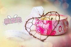 描写不屑与人争辩的优美句子(推荐68句)