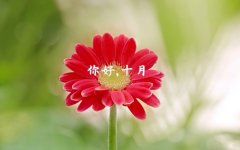 和对象发朋友圈的句子说说(实用101句)
