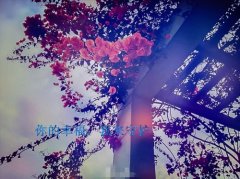 你要爱我宠我经典语录(精选151句)