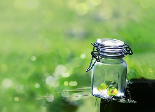 失信于人的心情句子(优选108句)